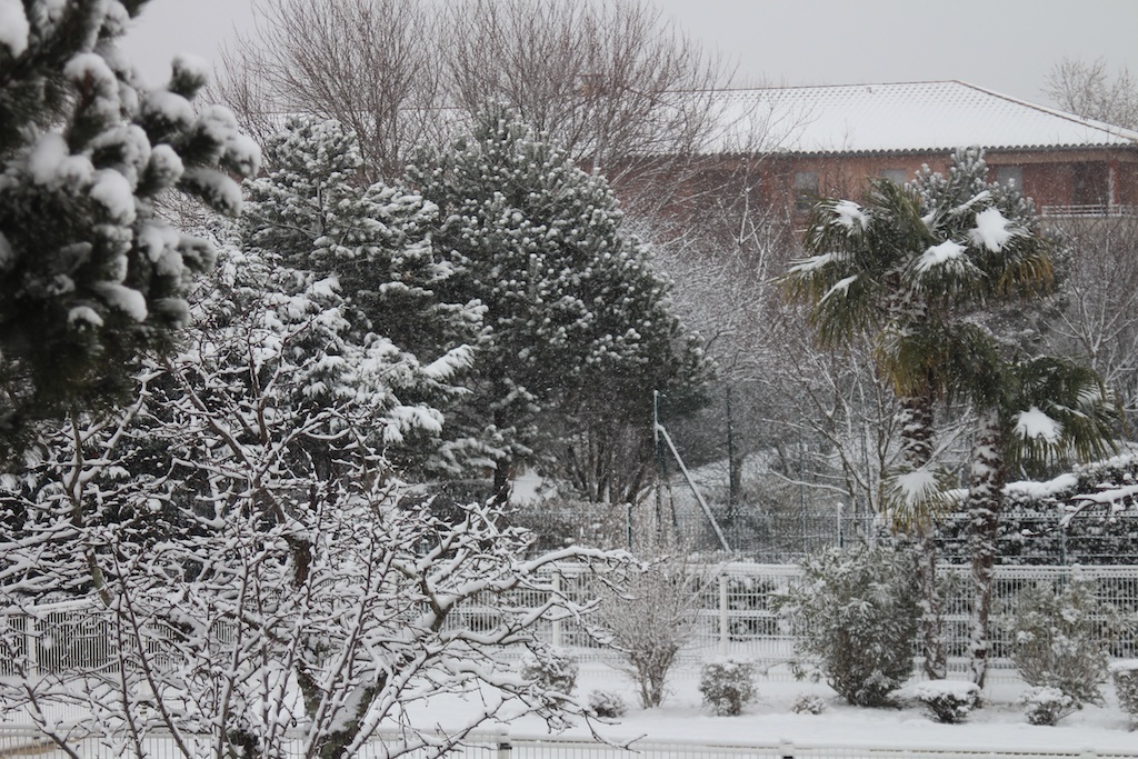 Toulouse 5cm neige 25/02/2013