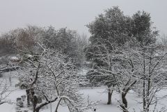 Toulouse 5cm neige 25/02/2013
