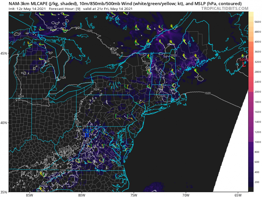 nam3km_cape_neus_10.png