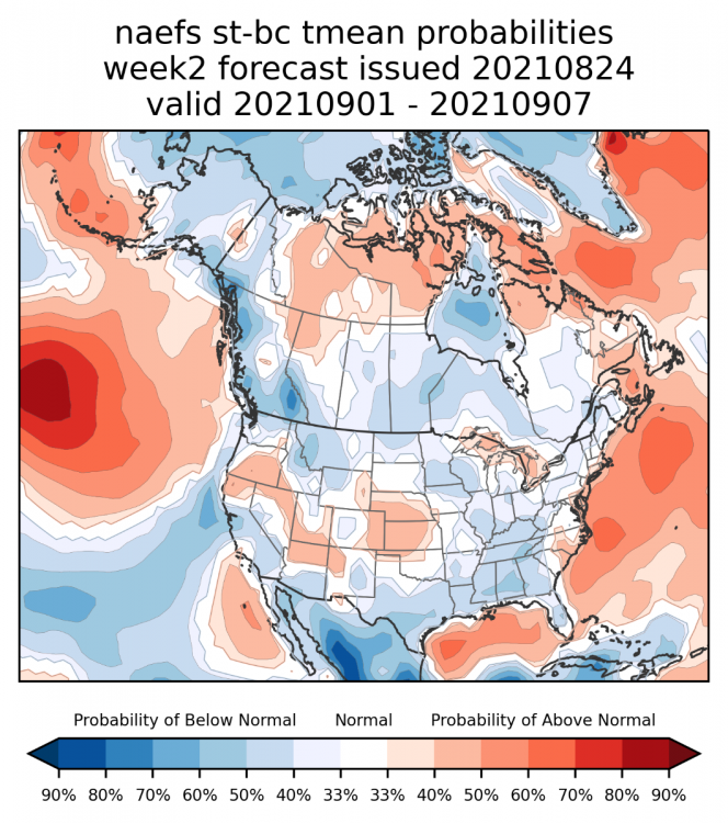 naefs_st-bc_tmean_week2_us.png