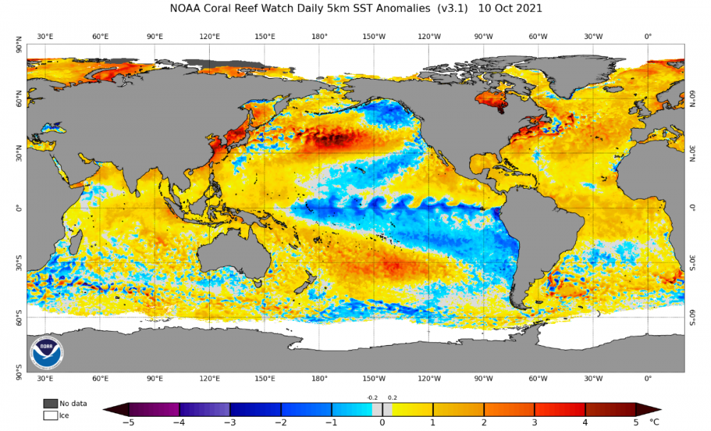 ct5km_ssta_v3.1_global_current.png