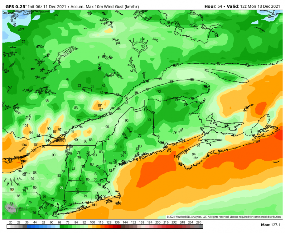 gfs-deterministic-stlawrence-gust_swath_kmh-9396800.png
