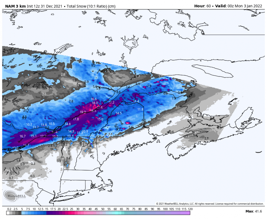 nam-nest-stlawrence-total_snow_10to1_cm-1168000.png