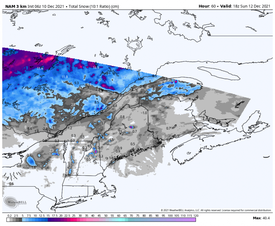 nam-nest-stlawrence-total_snow_10to1_cm-9332000.png