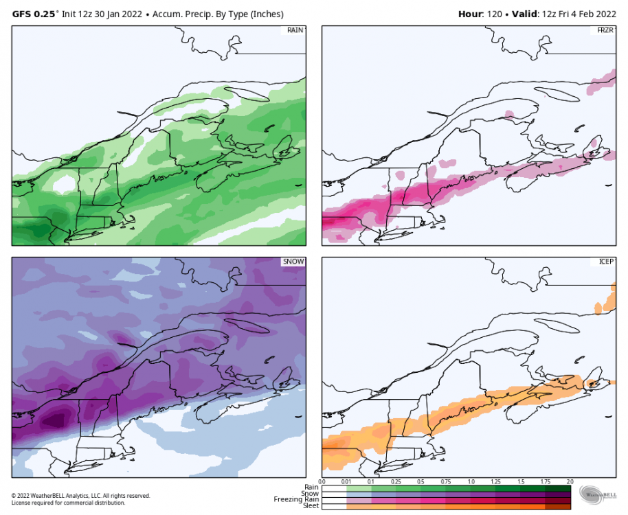 gfs-deterministic-stlawrence-total_precip_ptype_fourpanel-3976000.png
