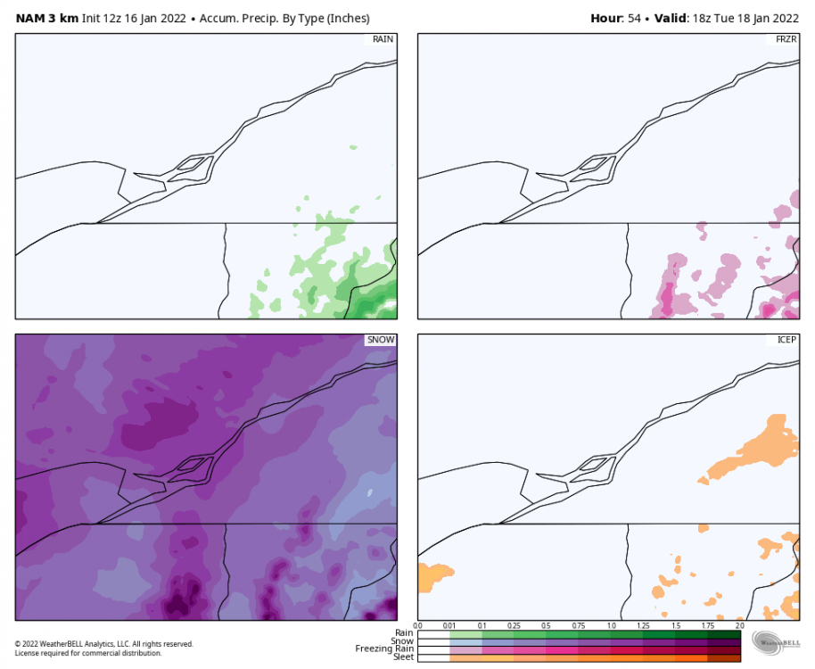 nam-nest-montreal-total_precip_ptype_fourpanel-2528800.png