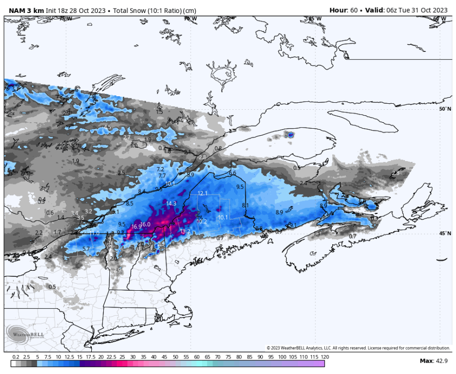 nam-nest-stlawrence-total_snow_10to1_cm-8732000.png