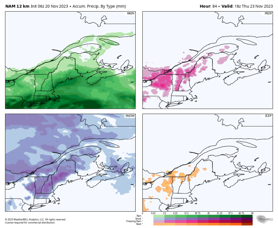nam-218-all-stlawrence-total_precip_ptype_fourpanel_mm-0762400.png