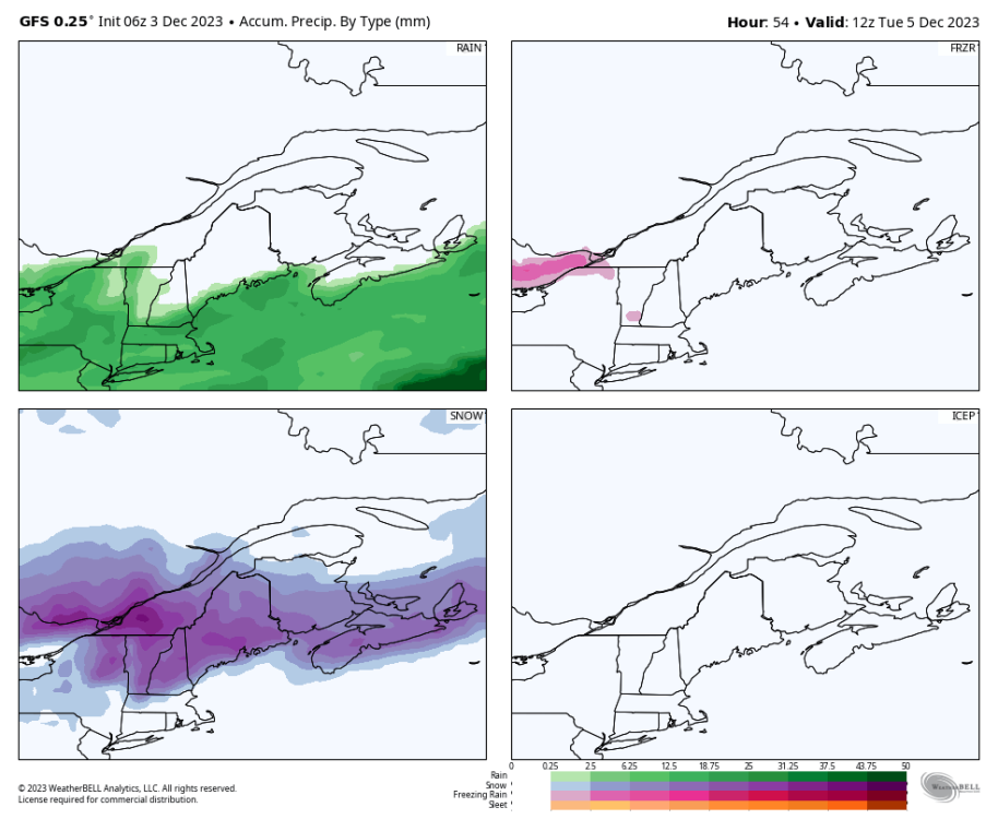 gfs-deterministic-stlawrence-total_precip_ptype_fourpanel_mm-1777600.png