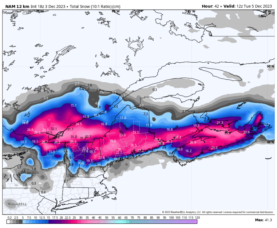 nam-218-all-stlawrence-total_snow_10to1_cm-1777600.png