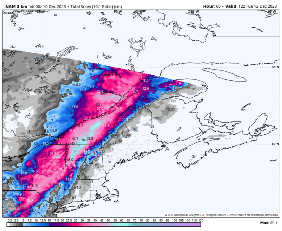 nam-nest-stlawrence-total_snow_10to1_cm-2382400.png