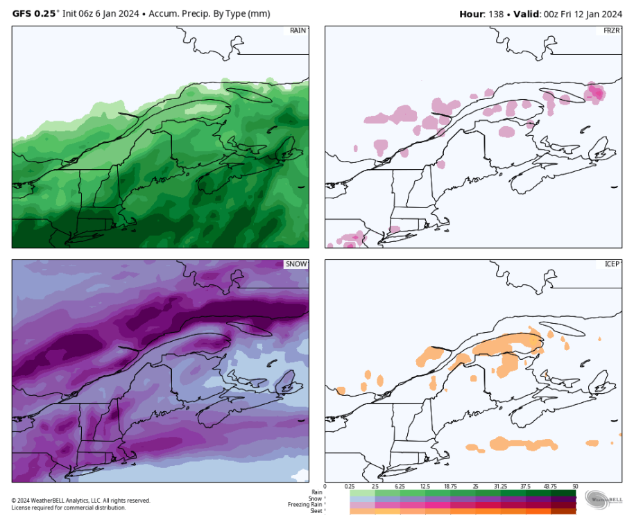gfs-deterministic-stlawrence-total_precip_ptype_fourpanel_mm-5017600.png