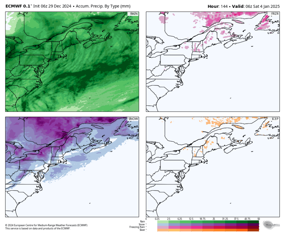 ecmwf-deterministic-nwatl-total_precip_ptype_fourpanel_mm-5970400.png