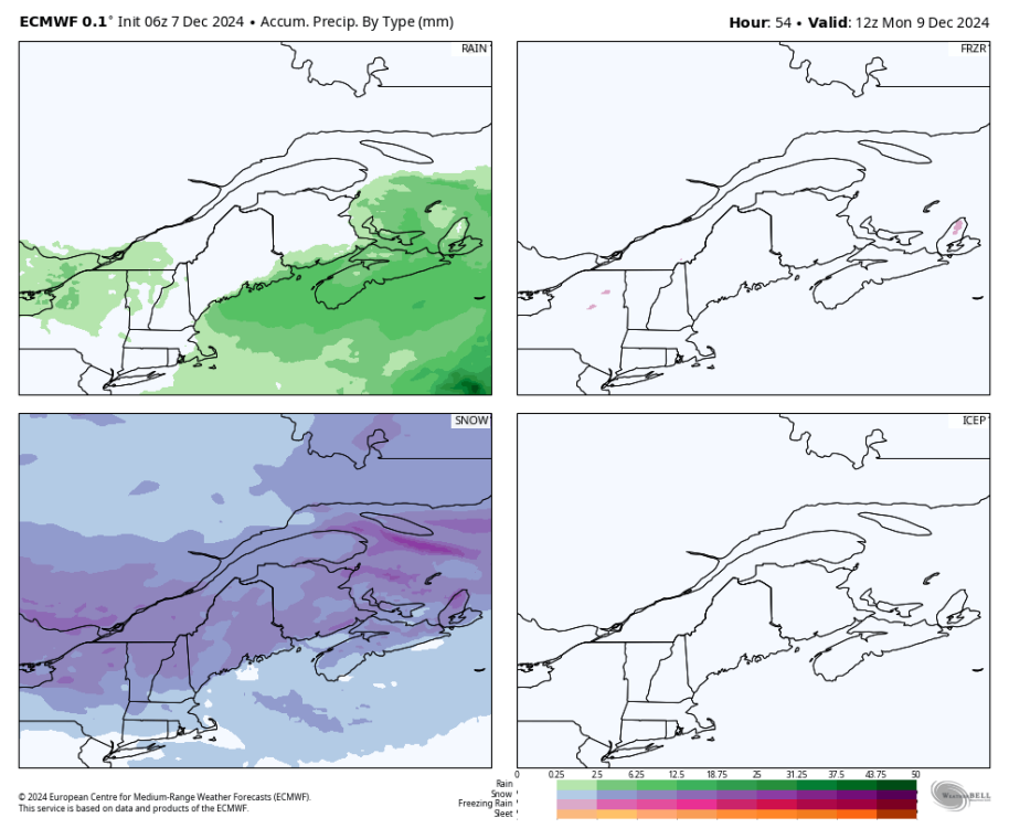 ecmwf-deterministic-stlawrence-total_precip_ptype_fourpanel_mm-3745600.png