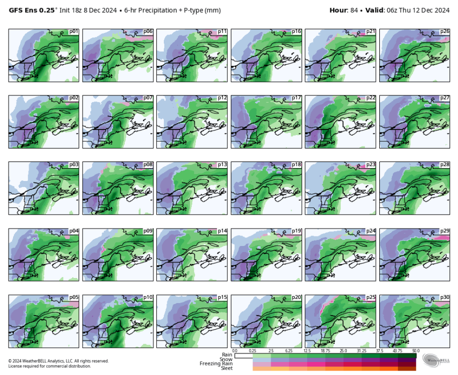 gfs-ensemble-all-avg-stlawrence-precip_6hr_ptype_multimember_panel_mm-3983200.png