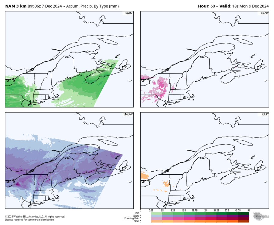 nam-nest-stlawrence-total_precip_ptype_fourpanel_mm-3767200.png
