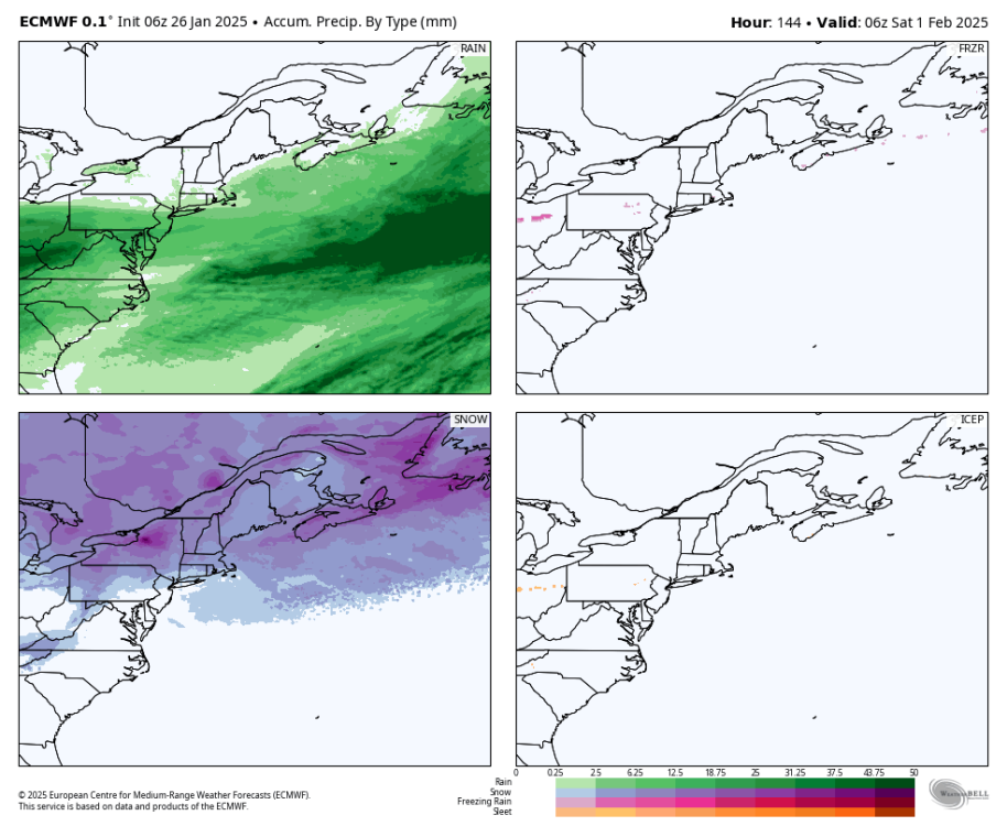 ecmwf-deterministic-nwatl-total_precip_ptype_fourpanel_mm-8389600.png