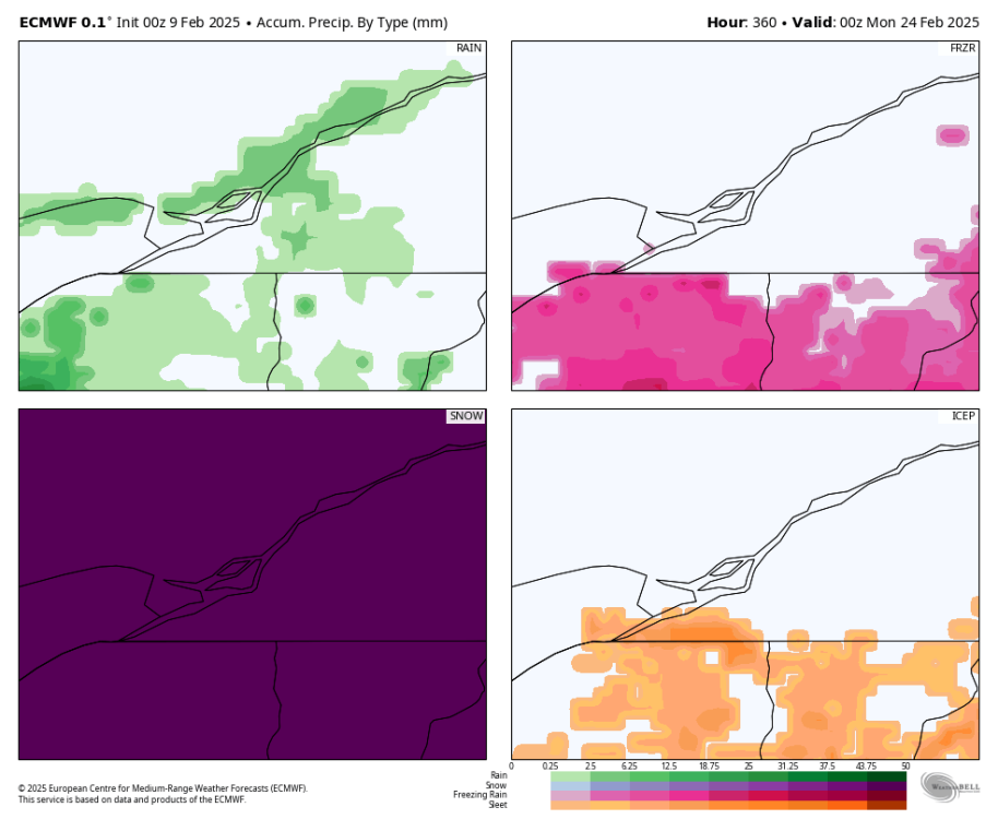 ecmwf-deterministic-montreal-total_precip_ptype_fourpanel_mm-0355200 (1).png