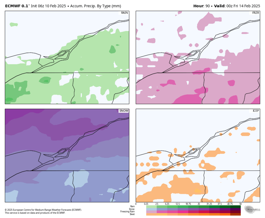 ecmwf-deterministic-montreal-total_precip_ptype_fourpanel_mm-9491200.png