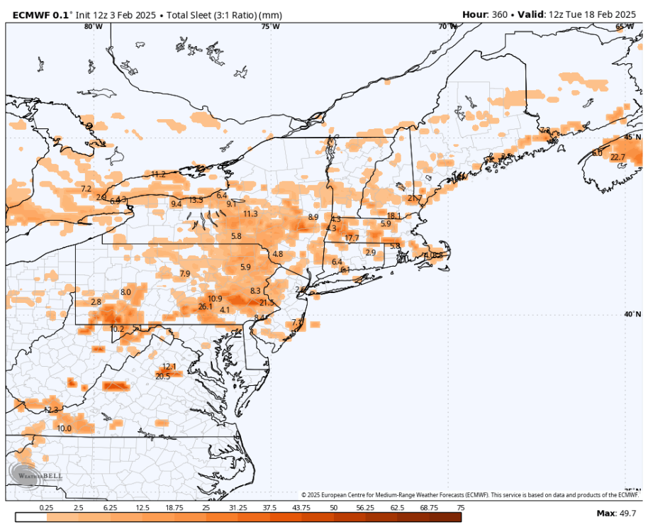 ecmwf-deterministic-ne-sleet_total_mm-9880000.png