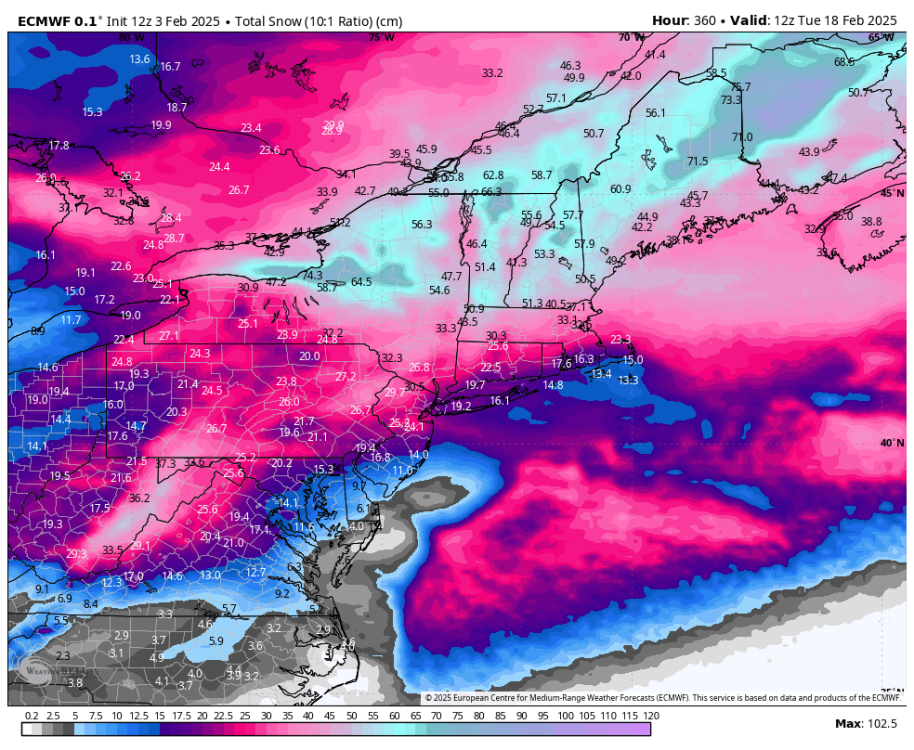 ecmwf-deterministic-ne-total_snow_10to1_cm-9880000.png