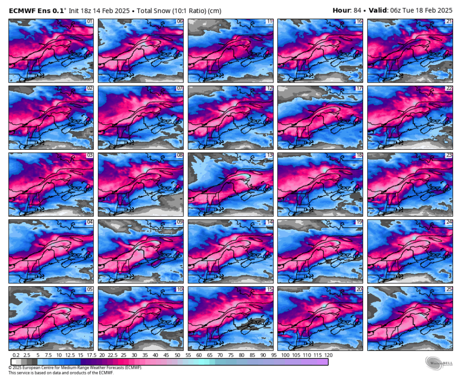 ecmwf-ensemble-avg-stlawrence-snow_total_multimember_panel_ecmwf_a_cm-9858400.png