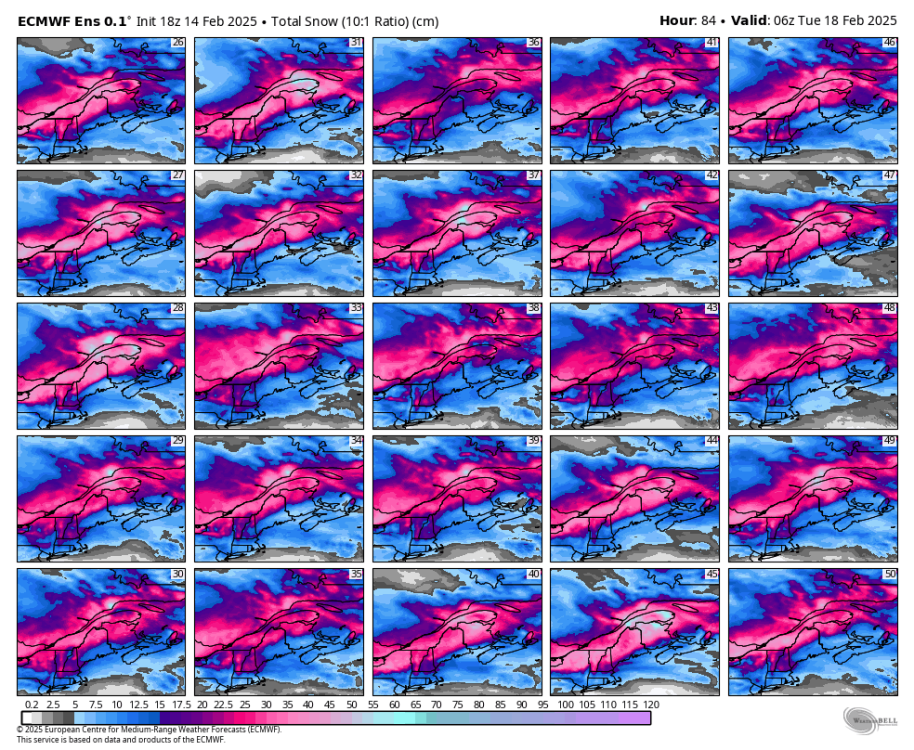 ecmwf-ensemble-avg-stlawrence-snow_total_multimember_panel_ecmwf_b_cm-9858400.png