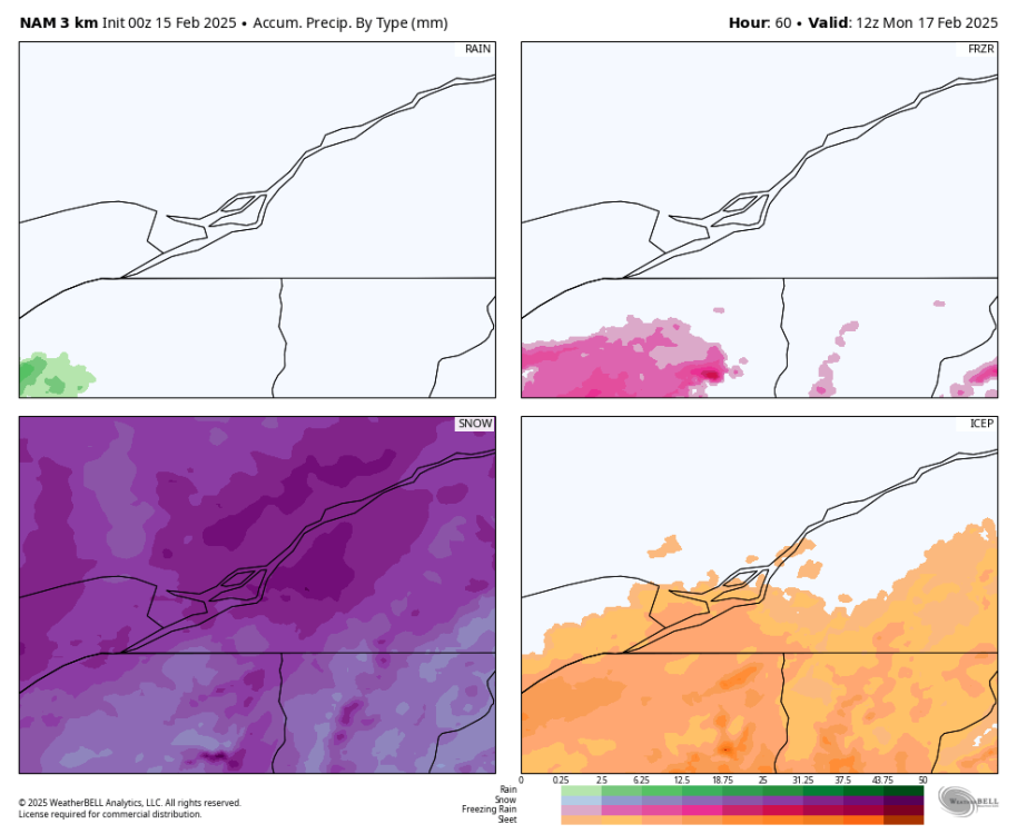 nam-nest-montreal-total_precip_ptype_fourpanel_mm-9793600.png