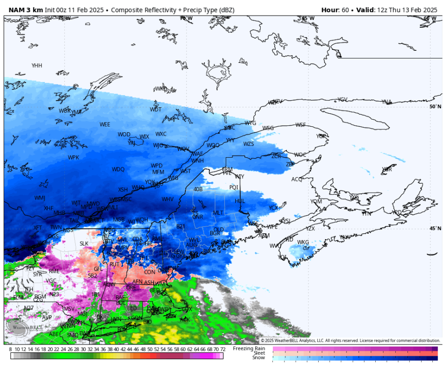 nam-nest-stlawrence-refc_ptype-9448000.png