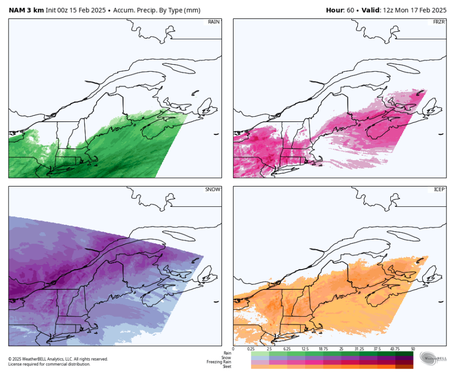 nam-nest-stlawrence-total_precip_ptype_fourpanel_mm-9793600.png