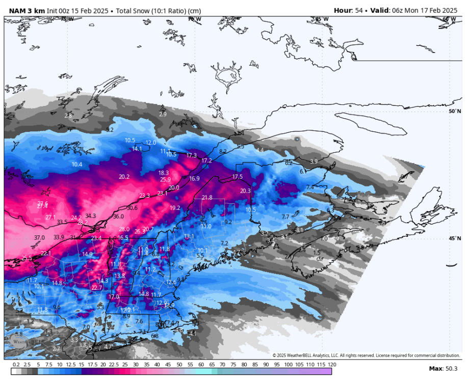 nam-nest-stlawrence-total_snow_10to1_cm-9772000.png