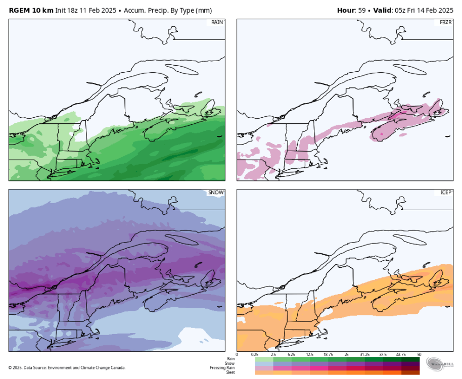 rgem-all-stlawrence-total_precip_ptype_fourpanel_mm-9509200.png