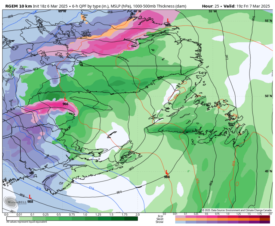 rgem-all-labrador-instant_ptype-1374000.png