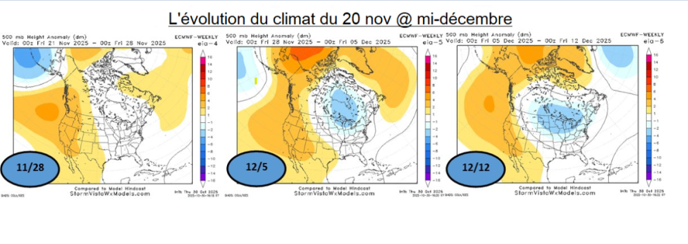 Capture d’écran 2025-11-02 081145.png
