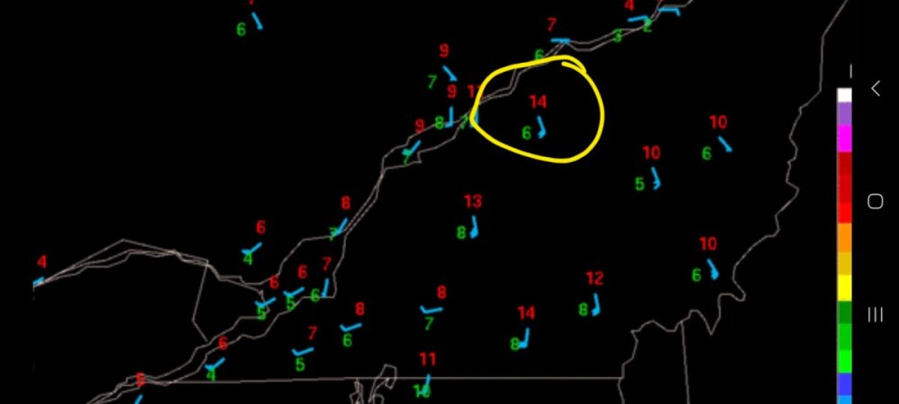 Screenshot_20251219_125204_Samsung Internet.jpg