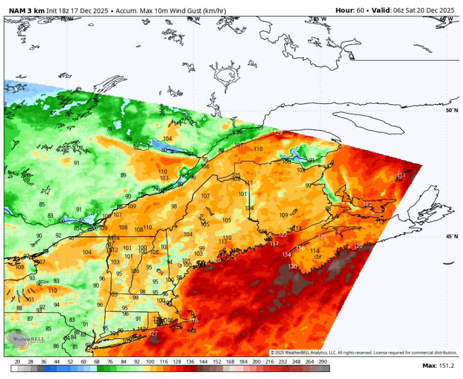 nam-nest-stlawrence-gust_swath_kmh-6210400 (1).png